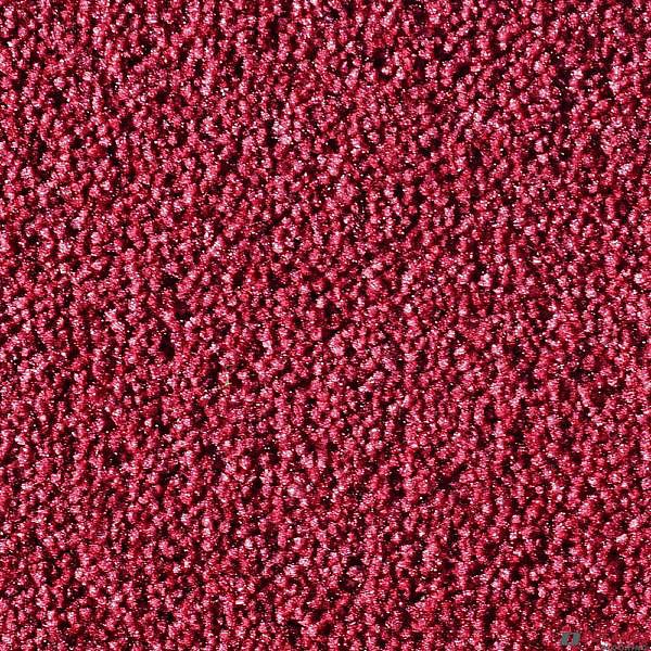 Carpet Your Life Sophie 11