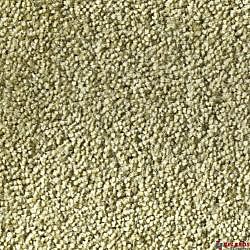 Carpet Your Life Sophie 29